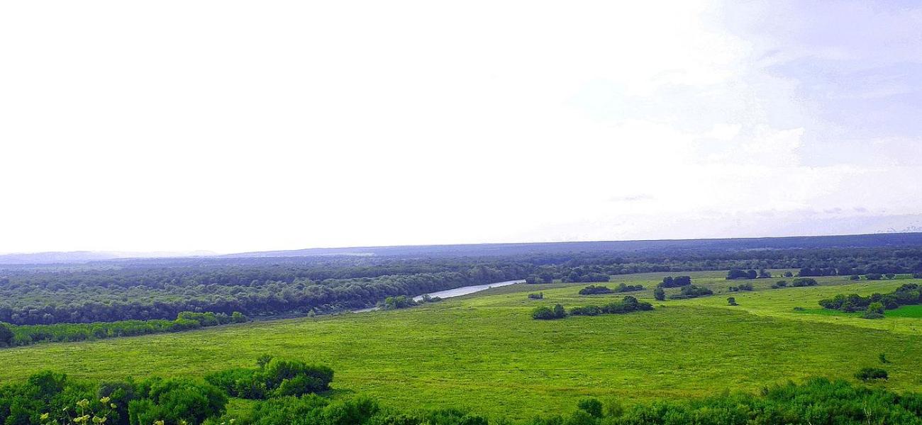 Russian fields