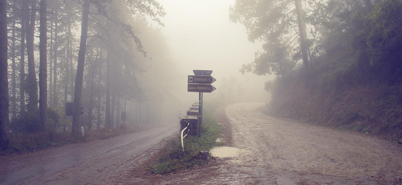 Misty fork in the road with road signs.