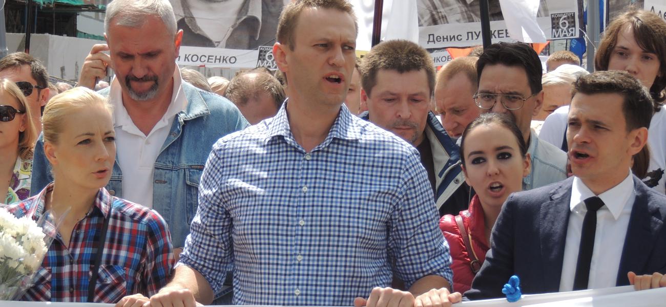 Navalny 2013