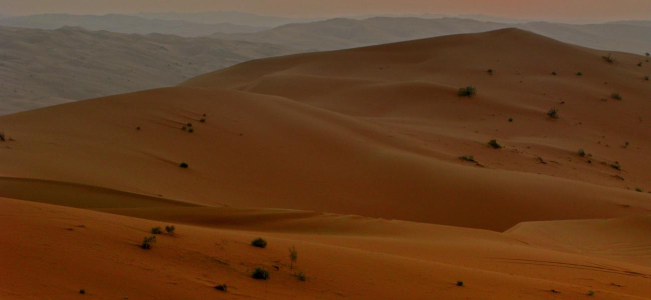 Desert landscape.