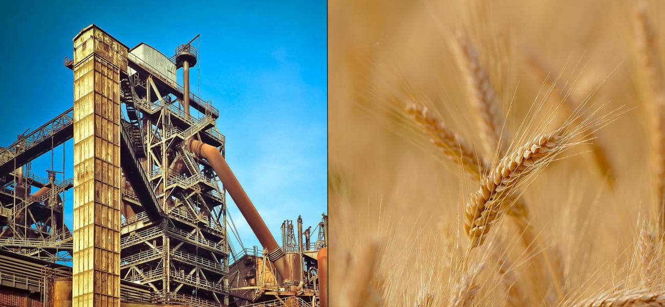 donbas industry vs breadbasket