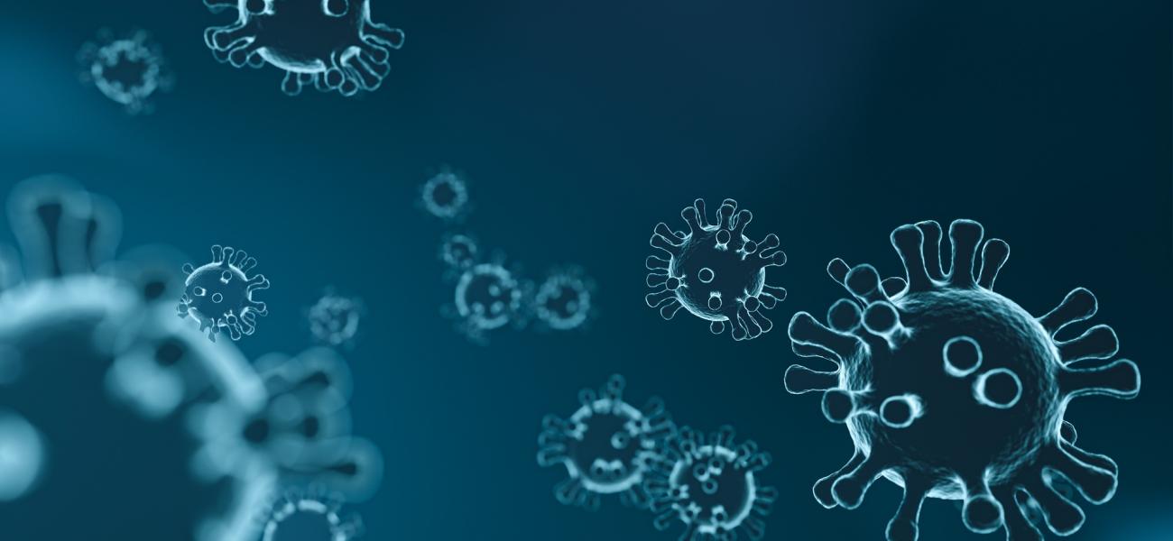 coronavirus