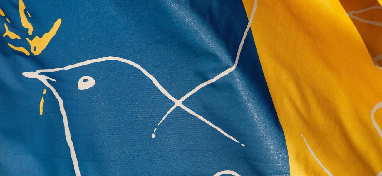 flag with dove